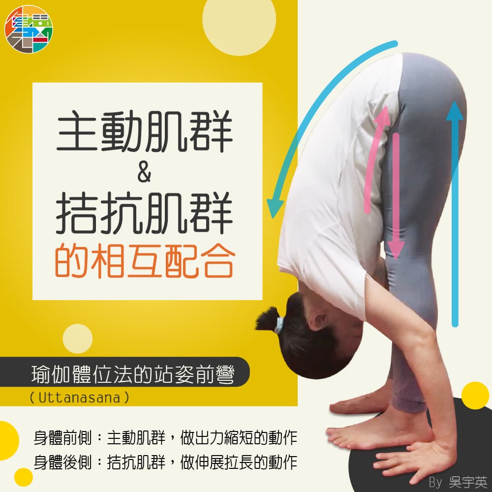 瑜伽你練對了嗎?你可能越練越錯! - e590b3e5ae87e88bb1-9.jpg