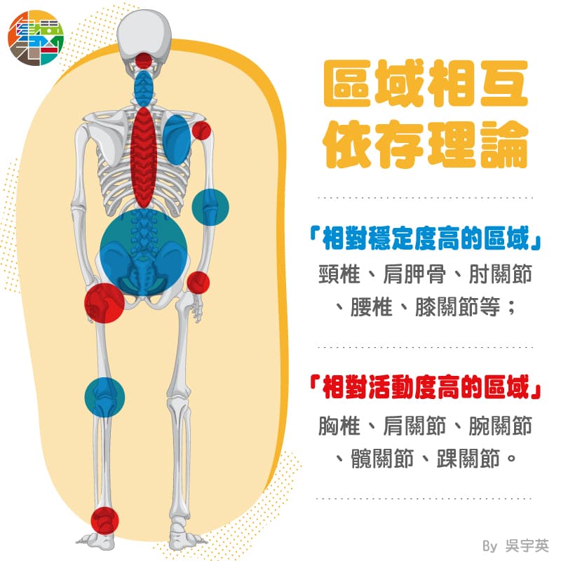 體位法總是練不到位?- 先檢測活動度再加強練習 - 000052.jpg
